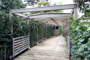 アプローチ。生垣と木塀による屋根付きのアプローチ。