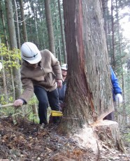 愛着の持てる家づくりを