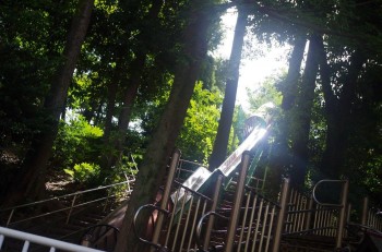めぐろおやこさんぽ　中根公園