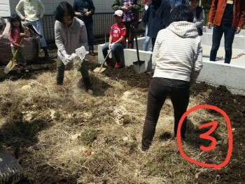雑草と米ぬかを投入 雑草と米ぬかを投入