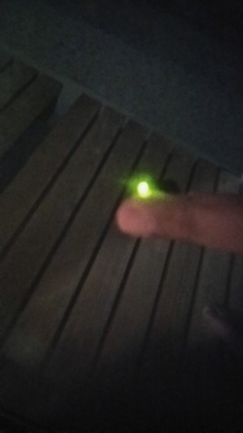 蛍 蛍
