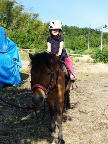 馬搬をする馬 馬搬をする馬