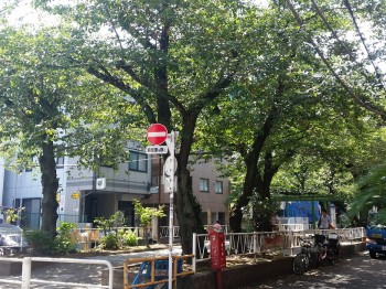 天然住宅アクセス 天然住宅アクセス