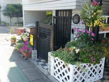 天然住宅アクセス 天然住宅アクセス