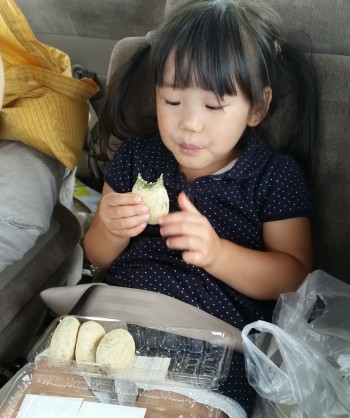 風来特製よもぎ団子 風来特製よもぎ団子