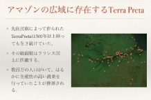 アマゾンに点在するテラプレタ