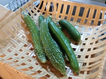 夏野菜 夏野菜