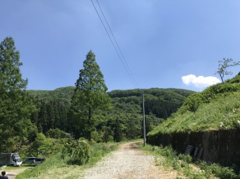 写真 2019-05-24 13 10 12 右の斜面も討伐された後、育ちが悪い