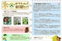 木の家でぼろろーん新聞No.13