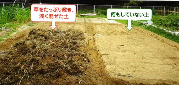 吉田俊道さん 土づくりワークショップ 吉田俊道さん 土づくりワークショップ