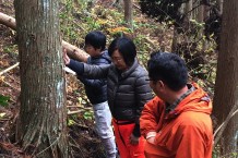樹に命を頂戴しますとお祈りを捧げます。