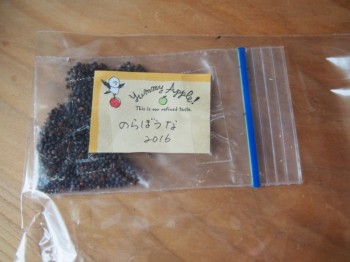 のらぼう菜 のらぼう菜