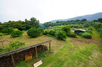 太陽光発電パネル