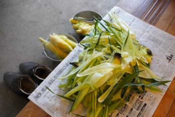 アトリエデフ