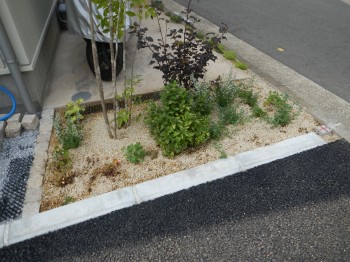 植栽