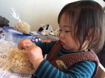 味噌づくりワークショップ 味噌づくりワークショップ