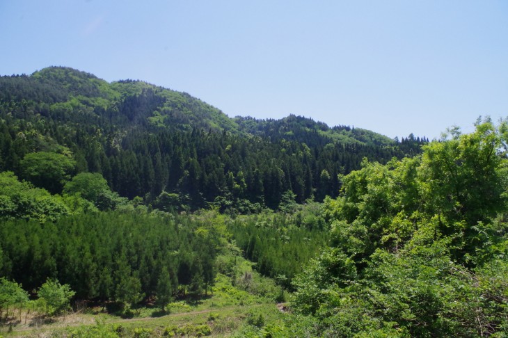 IMGP98031