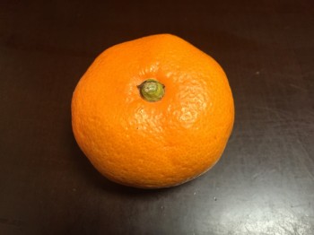 未完の家 未完の家