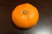 未完の家