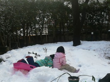 雪あそび 雪あそび