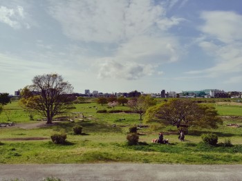 多摩川の河川敷 多摩川の河川敷