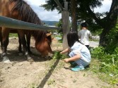 馬