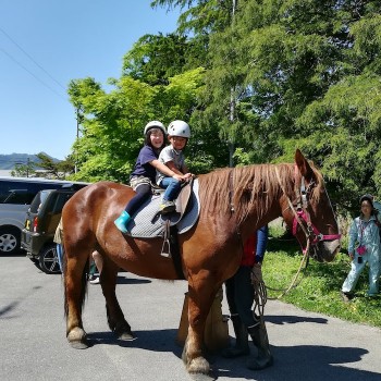 乗馬