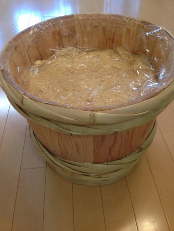 味噌の醸造 味噌の醸造