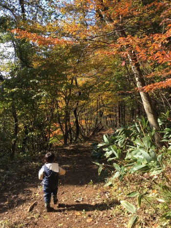 紅葉もきれいです 紅葉もきれいです