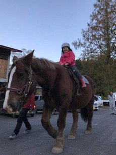 乗馬
