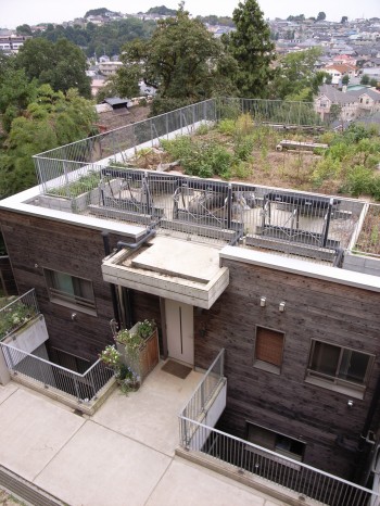 屋上菜園と太陽熱温水器 屋上菜園と太陽熱温水器