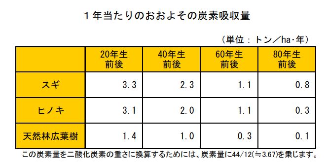 炭素吸収量