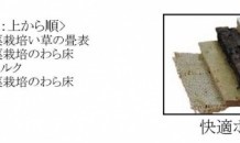 安全な「わら畳」「ボード畳」