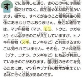 菌根菌きのこ