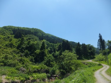 エコラの森