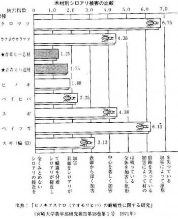 木材別シロアリ被害比較 木材別シロアリ被害比較
