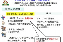 住宅担保融資「ヴィンテージローン」