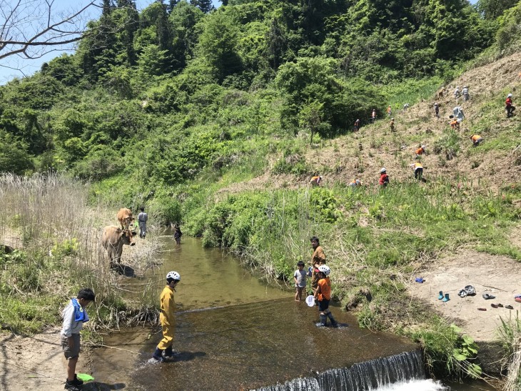写真 2019-05-25 11 14 12 植林の様子