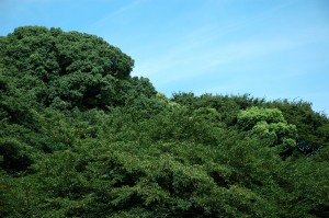 山 山